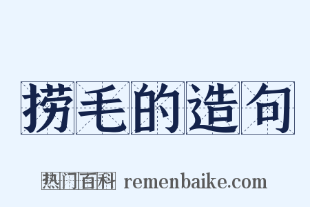 捞毛的造句是什么意思的图片